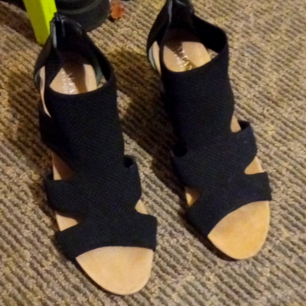 Fabulous Black Wedges